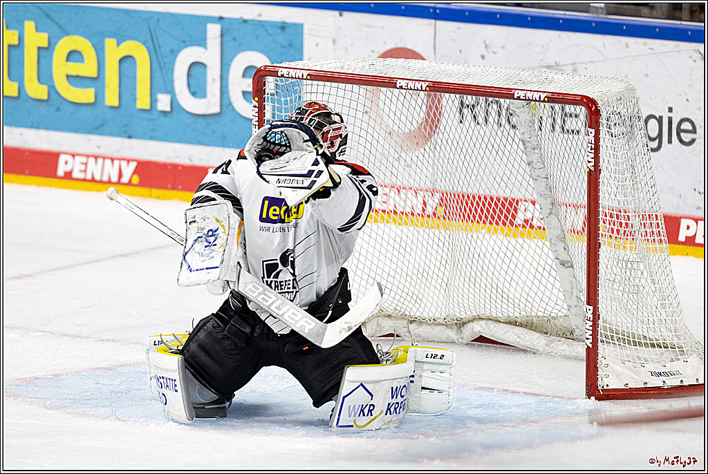 PENNY DEL;  Koelner Haie - Krefeld Pinguine; Koeln, 31.10.2021